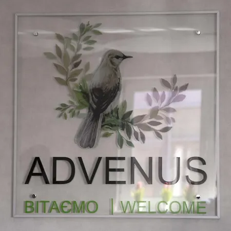 Advenus